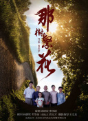 《街头赛车的最佳改装指南》